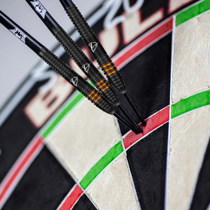 Bull´s Dirk van Duijvenbode E2 90%