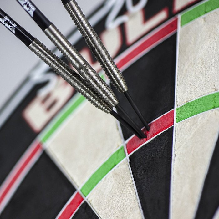 Bull´s Dirk van Duijvenbode 90%