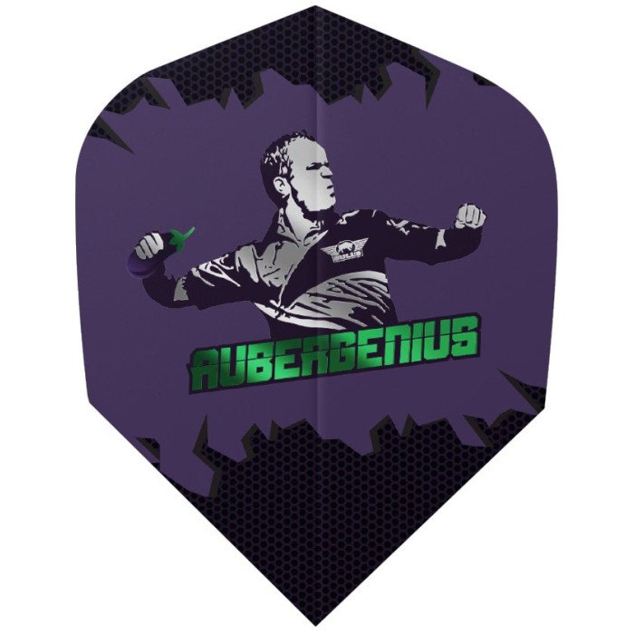 Bull's Player 100 Dirk van Duijvenbode Aubergenius No.6