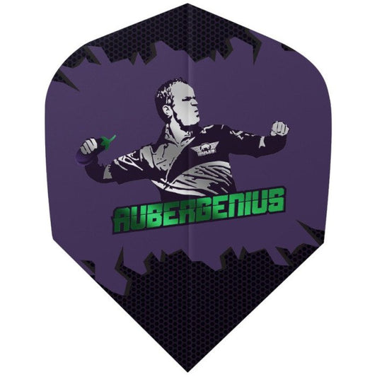 Bull's Player 100 Dirk van Duijvenbode Aubergenius No.6